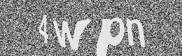 Verification image