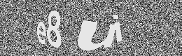 Verification image