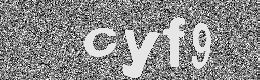 Verification image