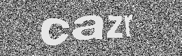 Verification image