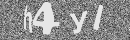 Verification image