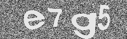 Verification image