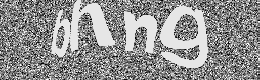 Verification image