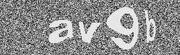 Verification image