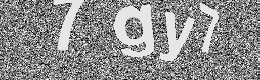Verification image