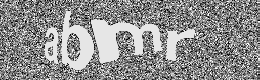 Verification image