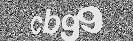 Verification image