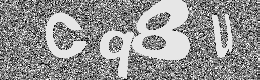 Verification image
