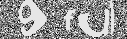 Verification image