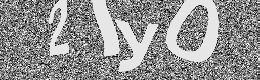 Verification image