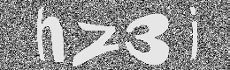 Verification image