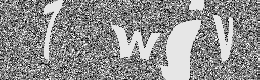 Verification image