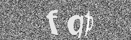 Verification image