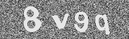 Verification image