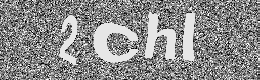 Verification image