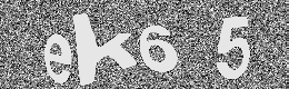 Verification image