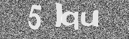Verification image