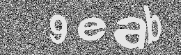 Verification image