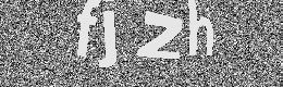Verification image