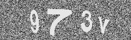 Verification image