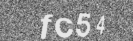 Verification image
