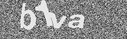 Verification image