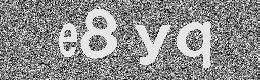 Verification image