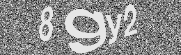 Verification image