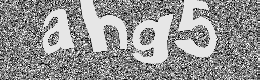 Verification image