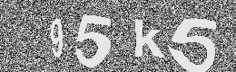 Verification image