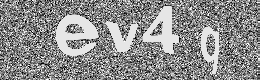 Verification image