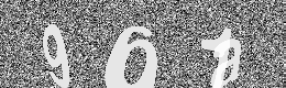 Verification image