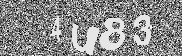 Verification image