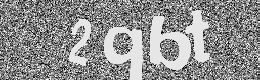 Verification image