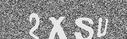 Verification image