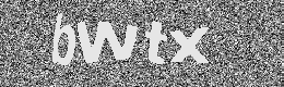 Verification image