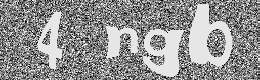 Verification image