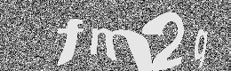 Verification image
