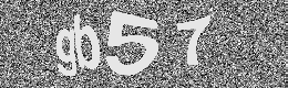 Verification image