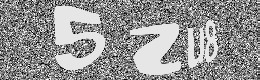 Verification image