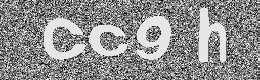 Verification image