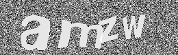Verification image