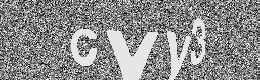 Verification image