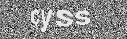 Verification image