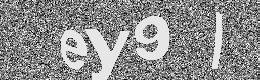 Verification image