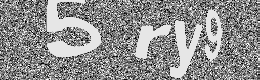 Verification image