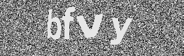 Verification image