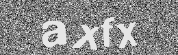 Verification image