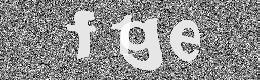 Verification image