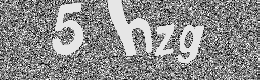 Verification image